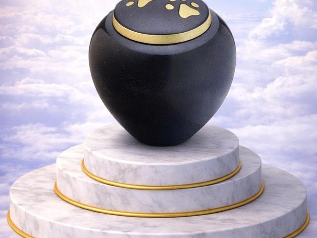 Urna conmemorativa de diseño elegante con huellas doradas – gama alta