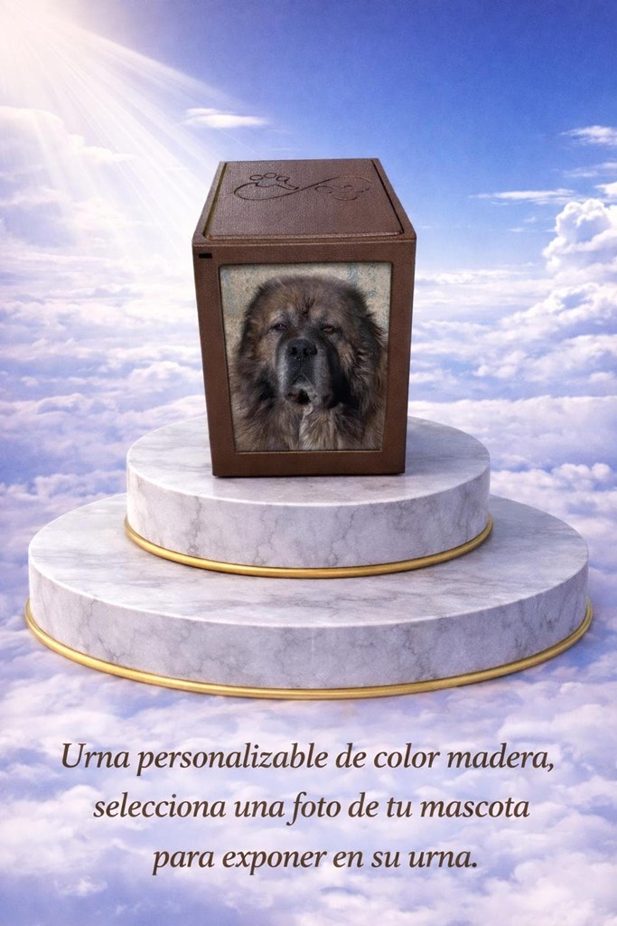 Foto 1 Urna conmemorativa personalizable con espacio para fotografía