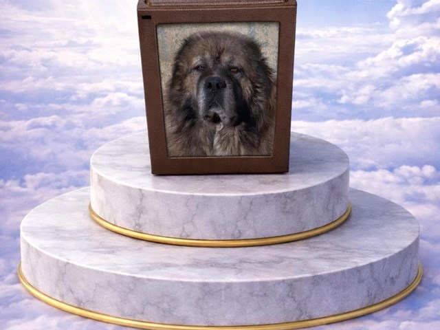 Urna conmemorativa personalizable con espacio para fotografía