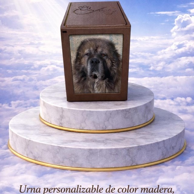 Urna conmemorativa personalizable con espacio para fotografía